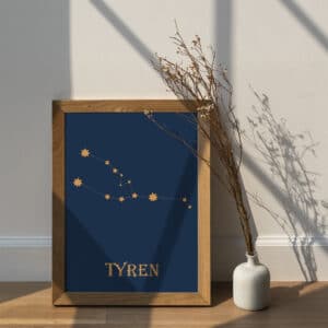 HistoryStars tyren stjernetegnsplakat
